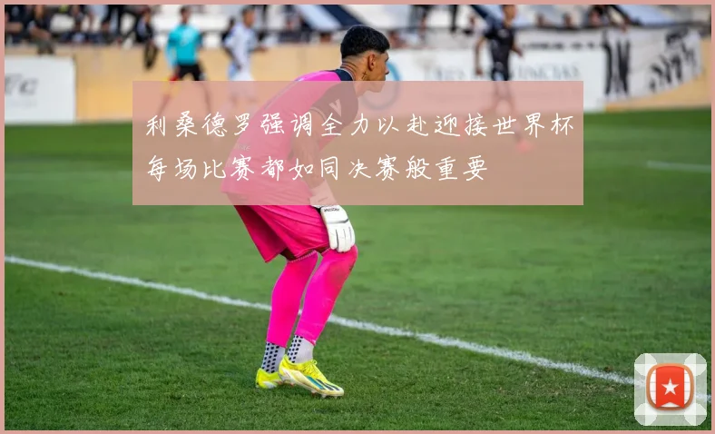利桑德罗强调全力以赴迎接世界杯每场比赛都如同决赛般重要