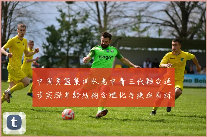 中国男篮集训队老中青三代融合逐步实现年龄结构合理化与换血目标