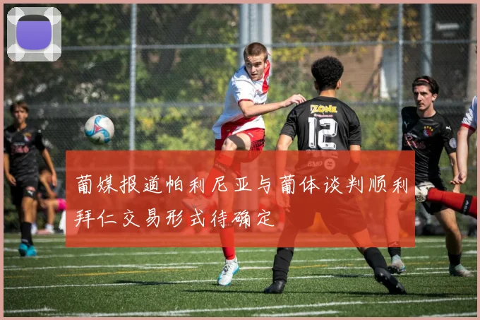 葡媒报道帕利尼亚与葡体谈判顺利拜仁交易形式待确定